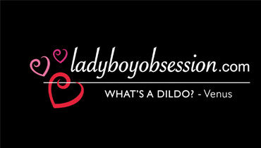 Ladyboy Obsession