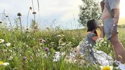 романтический минет на природе