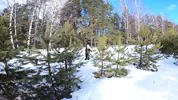 русская туристка заблудилась и встретила лесника