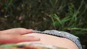 полез рукой под шорты девушки