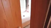 хозяин квартиры застукал девку за съемками в порно
