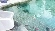 работник вылавливает из воды десятки секс игрушек