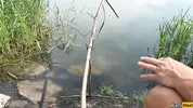 замужняя соблазняет рыбака на природе