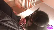 почти спалилась за отсосом на лестничной клетке