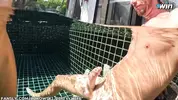 под водой дрочит крепкий член и играет с киской
