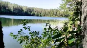 парень застукал русскую блондинку за мастурбацией на природе