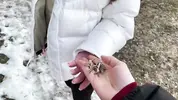 добрый незнакомец помог русской с ключами и теплом