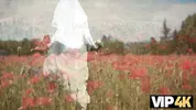 невеста сбежала в поле со своей свадьбы