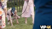 жених на поводке пришел к госпоже невесте