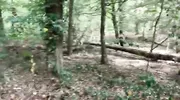 на пробежке